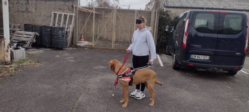 L’une des collaboratrices acompagnée d’un chien guide