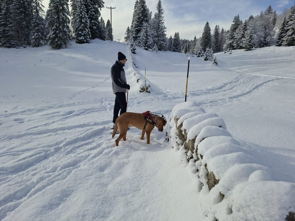 Denis et Hubble (le chien guide de Souleyman), les pieds dans la neige.