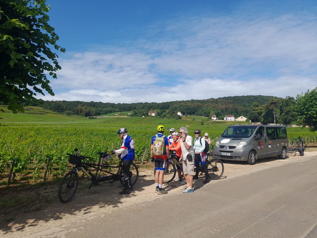 Le groupe attardé prêt des vignes